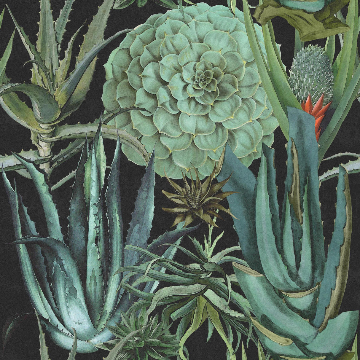 MindTheGap SUCCULENTUS ANTHRACITE The Rediscovered Paradise Wallpaper