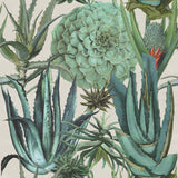 MindTheGap SUCCULENTUS The Rediscovered Paradise Wallpaper