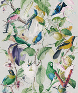 MindTheGap TROPICAL BIRDS The Rediscovered Paradise Wallpaper