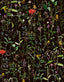 MindTheGap AQUAFLEUR ANTHRACITE The Florist Wallpaper