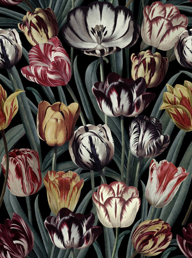 MindTheGap TULIPA DARK The Florist Wallpaper