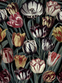 MindTheGap TULIPA DARK The Florist Wallpaper