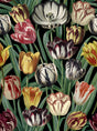 MindTheGap TULIPA The Florist Wallpaper