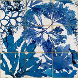 MindTheGap ALGAE IN BLUE Mediterraneo Wallpaper