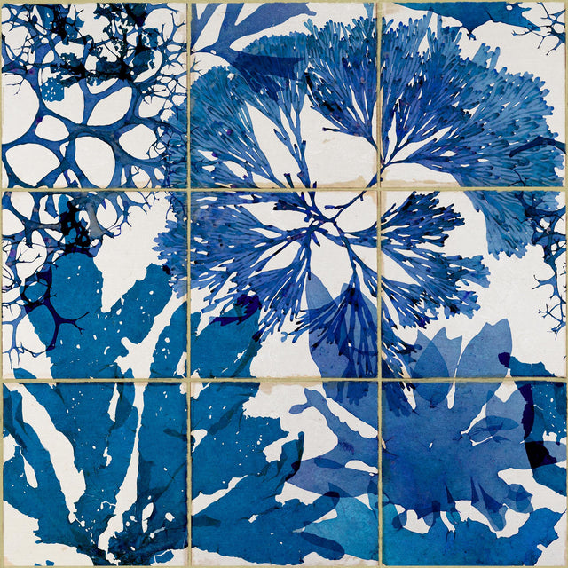 MindTheGap ALGAE IN BLUE Mediterraneo Wallpaper