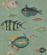 MindTheGap POISSONS Mediterraneo Wallpaper