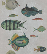MindTheGap POISSONS GREY Mediterraneo Wallpaper