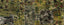 MindTheGap CAMO Fabric Obssesion Wallpaper