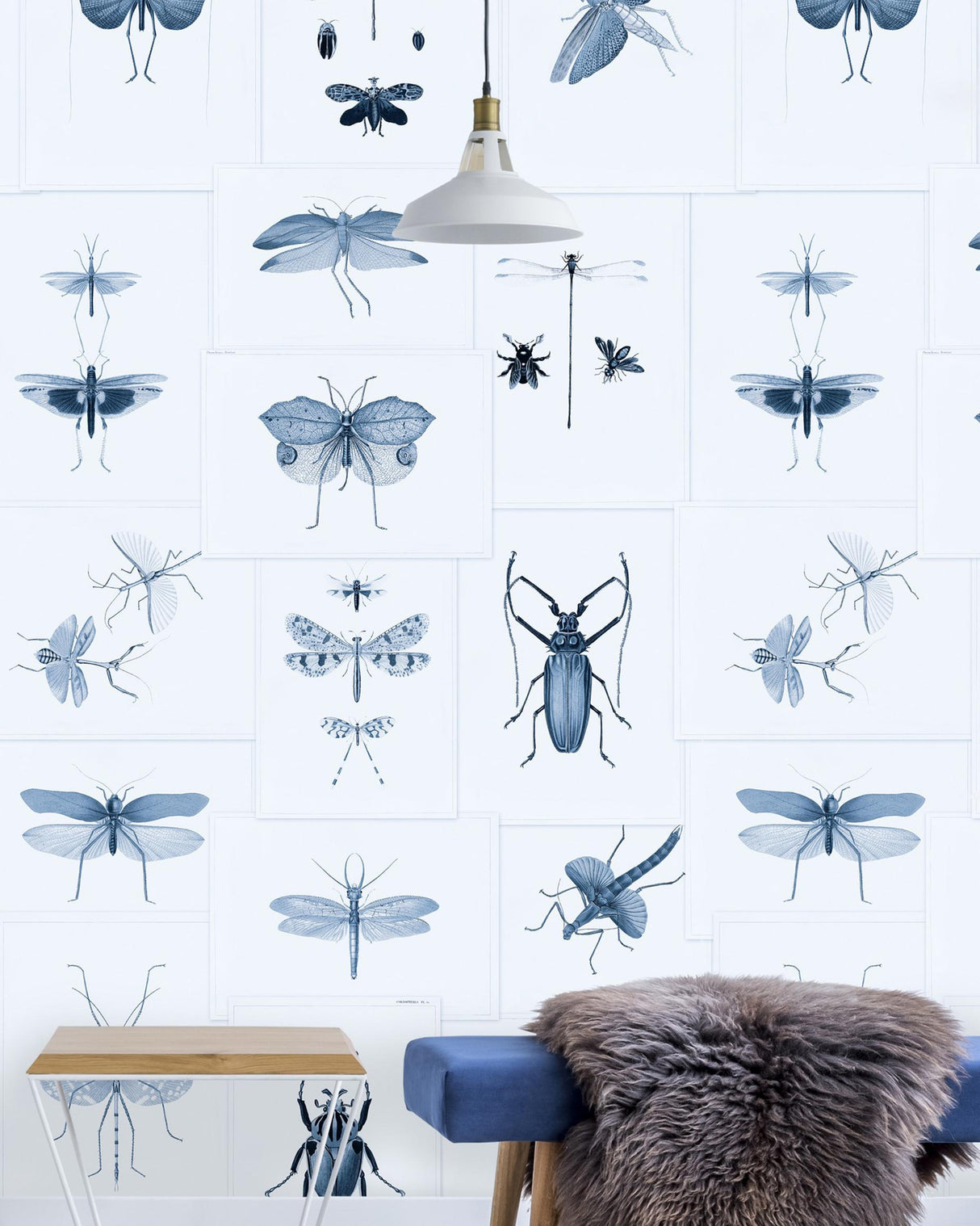 MindTheGap ENTOMOLOGY BLUE The Antiquarian Wallpaper