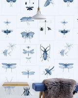 MindTheGap ENTOMOLOGY BLUE The Antiquarian Wallpaper