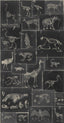 MindTheGap ZOOARCHAEOLOGY ANTHRACITE The Antiquarian Wallpaper