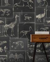 MindTheGap ZOOARCHAEOLOGY ANTHRACITE The Antiquarian Wallpaper