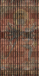 MindTheGap CHAKRASAMVARA The Mysterious Traveler Wallpaper