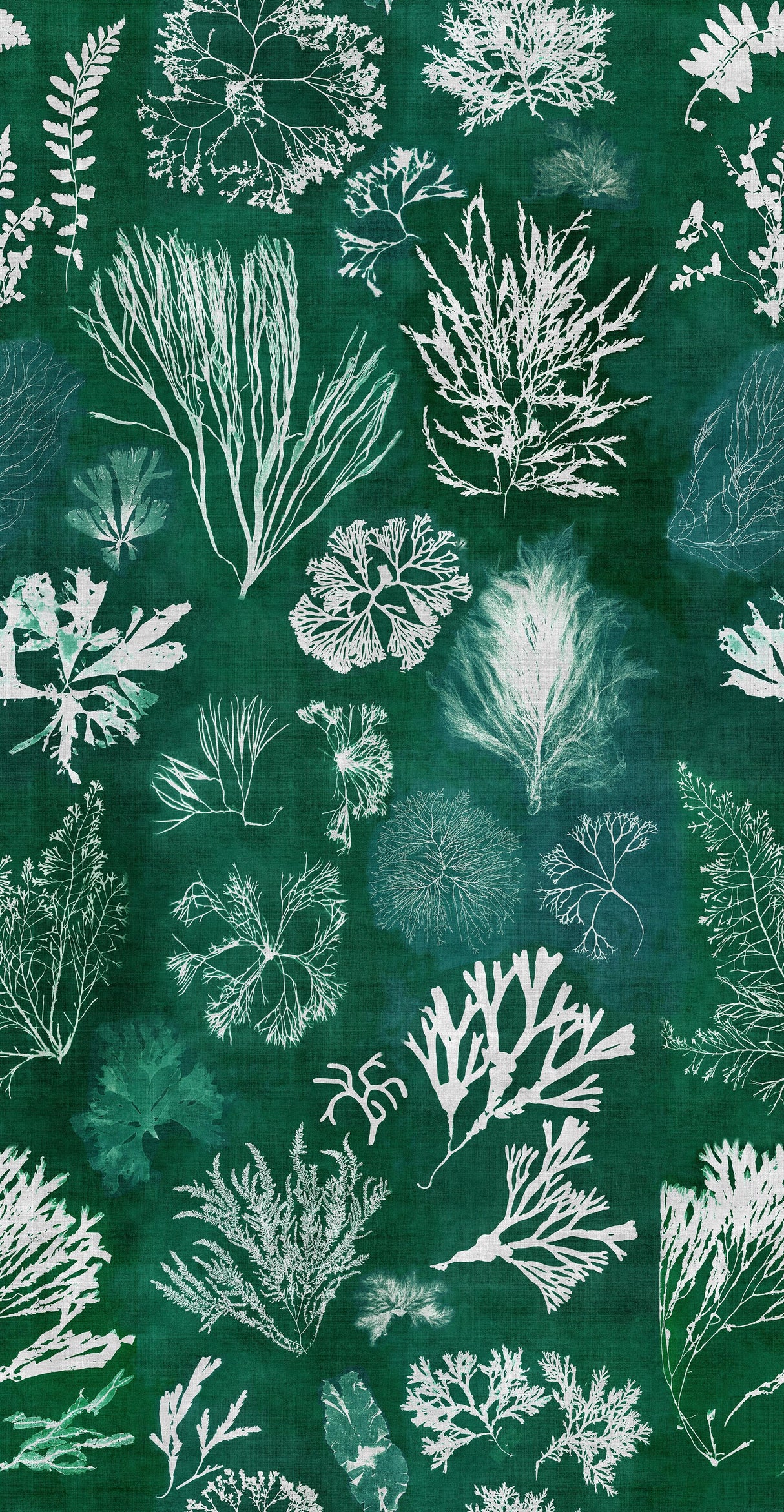 MindTheGap ALGAE Moss ATOLL Wallpaper