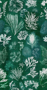 MindTheGap ALGAE Moss ATOLL Wallpaper