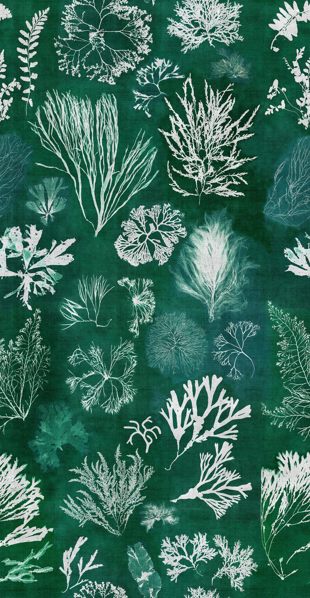 MindTheGap ALGAE Moss ATOLL Wallpaper