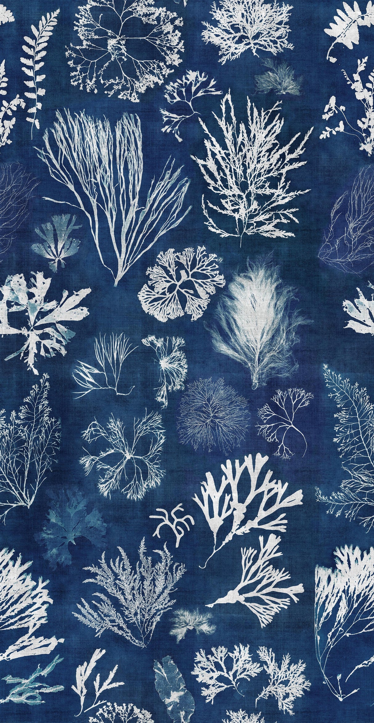 MindTheGap ALGAE Navy Blue ATOLL Wallpaper