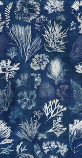 MindTheGap ALGAE Navy Blue ATOLL Wallpaper
