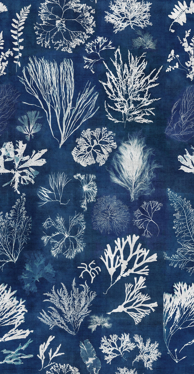 MindTheGap ALGAE Navy Blue ATOLL Wallpaper
