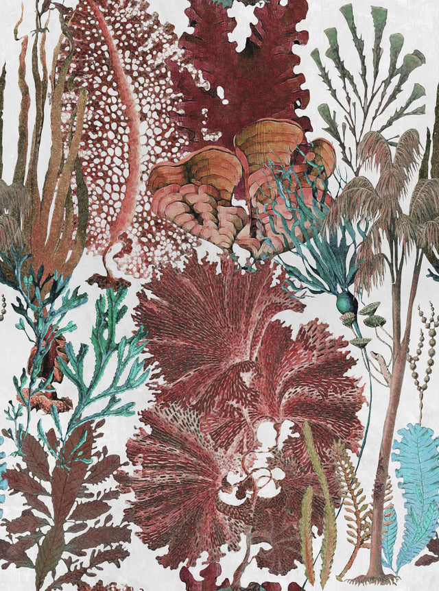 MindTheGap CORAL REEF ATOLL Wallpaper