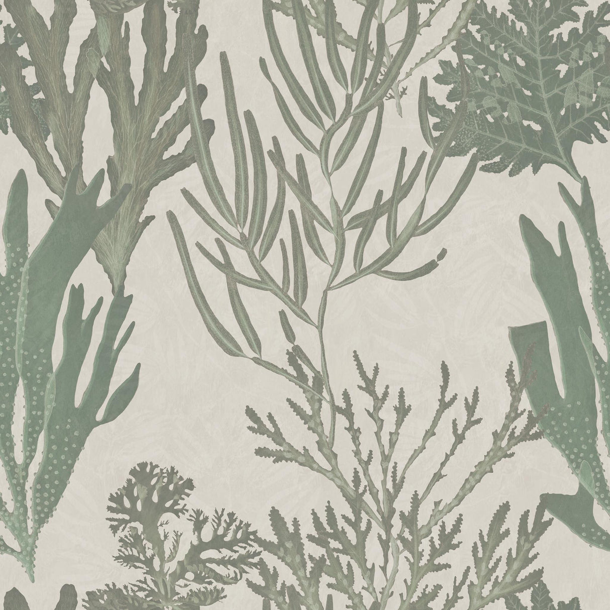 MindTheGap LIGHT CORALS ATOLL Wallpaper