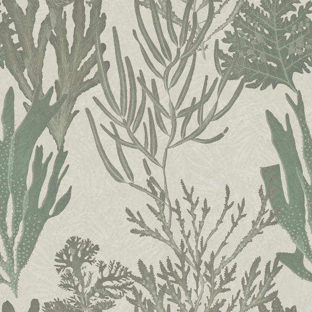 MindTheGap LIGHT CORALS ATOLL Wallpaper