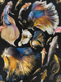 MindTheGap GOLDFISH Anthracite ATOLL Wallpaper