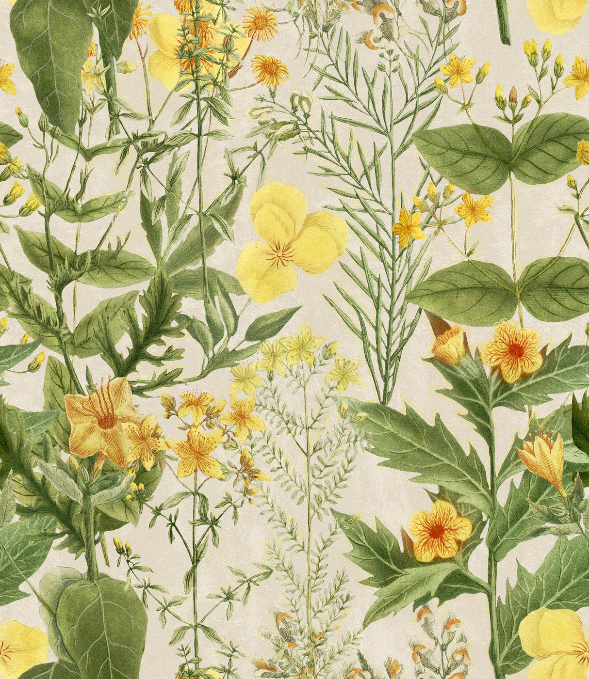 MindTheGap MIMULUS FLORILEGIUM Wallpaper
