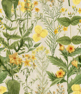 MindTheGap MIMULUS FLORILEGIUM Wallpaper
