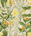 MindTheGap MIMULUS FLORILEGIUM Wallpaper