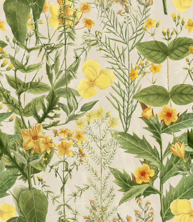MindTheGap MIMULUS FLORILEGIUM Wallpaper