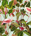 MindTheGap BEVERLY HILLS Mint PALM SPRINGS Wallpaper