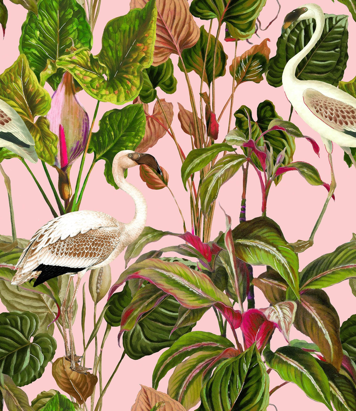 MindTheGap BEVERLY HILLS Pink PALM SPRINGS Wallpaper