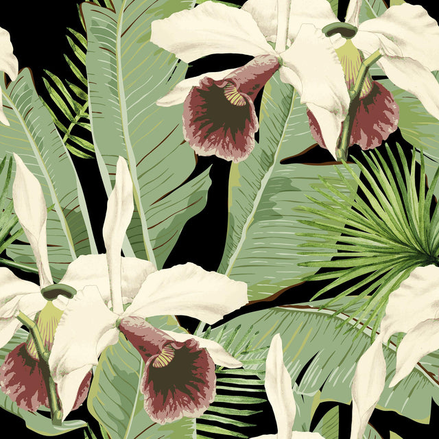 MindTheGap TREASURE ISLAND Anthracite PALM SPRINGS Wallpaper