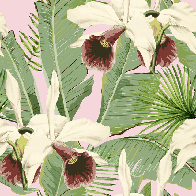 MindTheGap TREASURE ISLAND Pink PALM SPRINGS Wallpaper