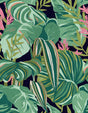 MindTheGap TROPICAL FOLIAGE Anthracite PALM SPRINGS Wallpaper