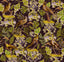 MindTheGap LA VOLIERE Dark THE ROYAL GARDEN Wallpaper