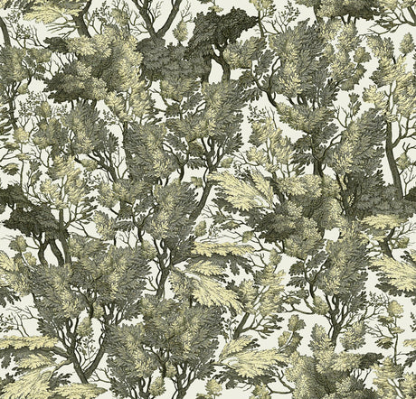 MindTheGap TREE FOLIAGE THE ROYAL GARDEN Wallpaper