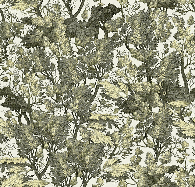 MindTheGap TREE FOLIAGE THE ROYAL GARDEN Wallpaper