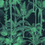 MindTheGap PALMERA CUBANA Dark CUBANA Wallpaper