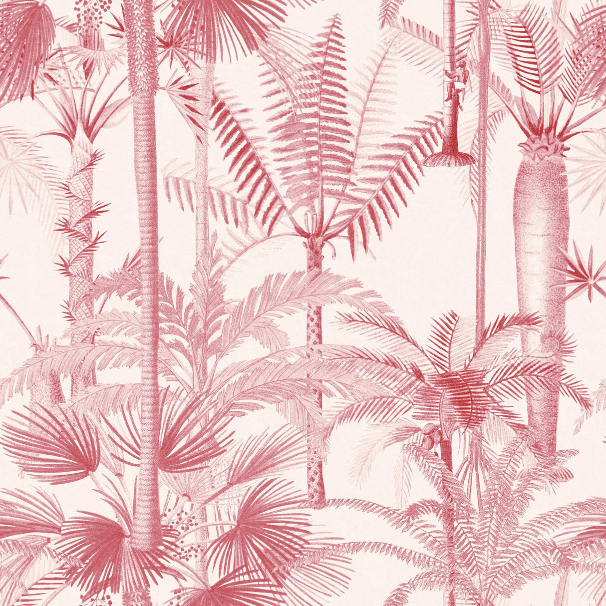 MindTheGap PALMERA CUBANA Pink CUBANA Wallpaper