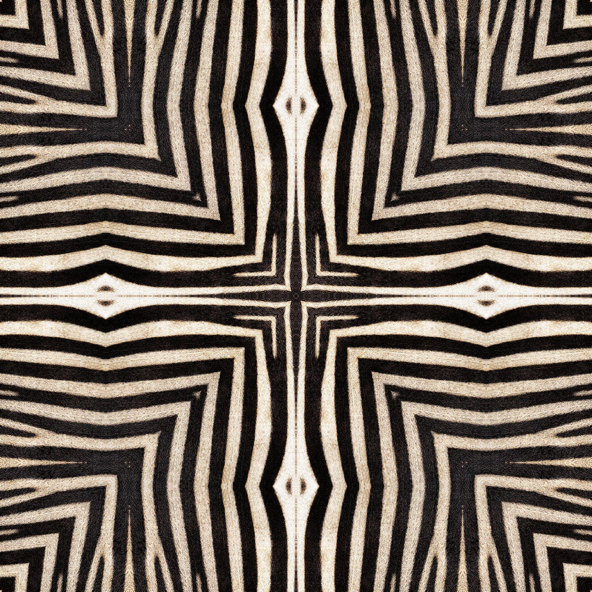 MindTheGap SERENGETI ORIGINS Wallpaper