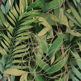 MindTheGap EXOTIC GARDEN TROPICAL WANDERLUST Wallpaper