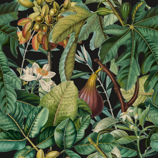 MindTheGap FIGS AND DATES TROPICAL WANDERLUST Wallpaper
