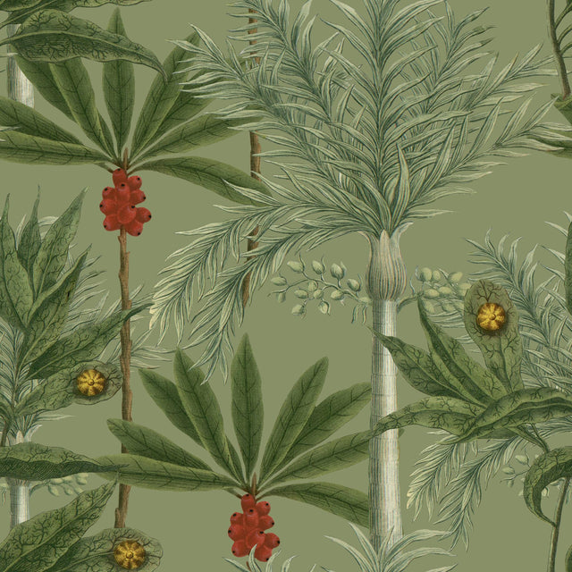 MindTheGap MADAGASCAR TROPICAL WANDERLUST Wallpaper