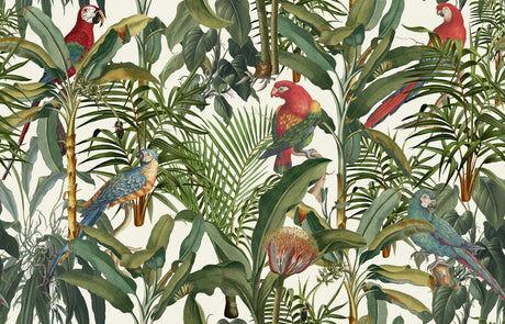 MindTheGap PARROTS OF BRASIL TROPICAL WANDERLUST Wallpaper