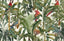 MindTheGap PARROTS OF BRASIL TROPICAL WANDERLUST Wallpaper