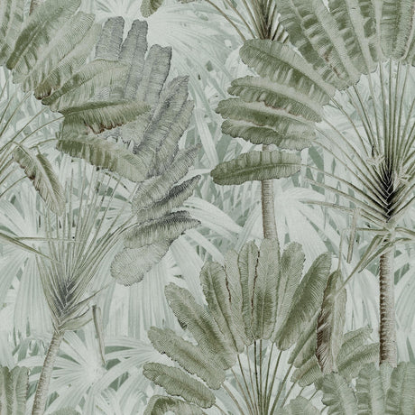 MindTheGap TRAVELLER'S PALM Neutral TROPICAL WANDERLUST Wallpaper