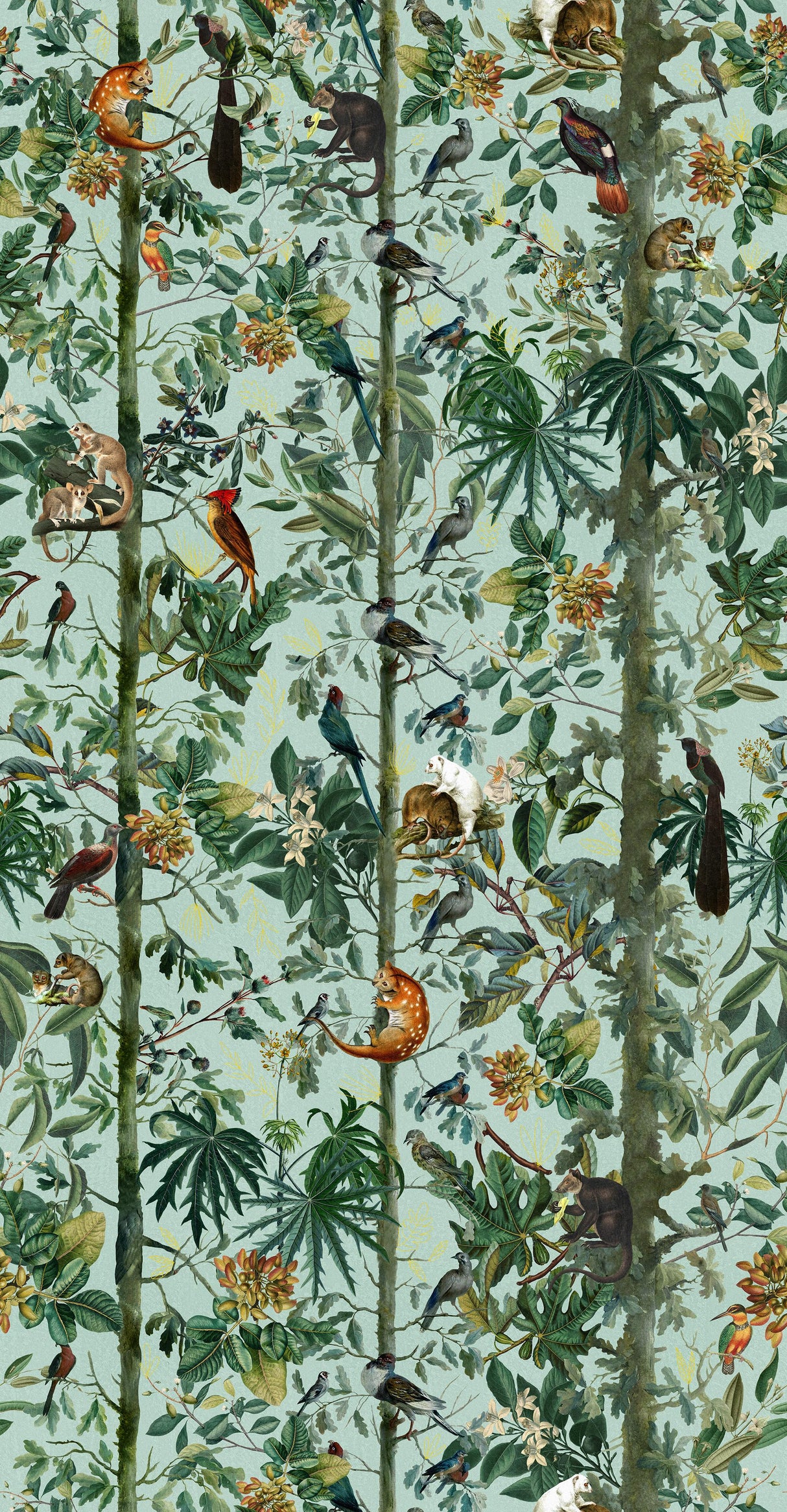 MindTheGap WILDLIFE OF PAPUA TROPICAL WANDERLUST Wallpaper