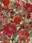 MindTheGap THE FLOWERING TRANSYLVANIAN ROOTS Wallpaper